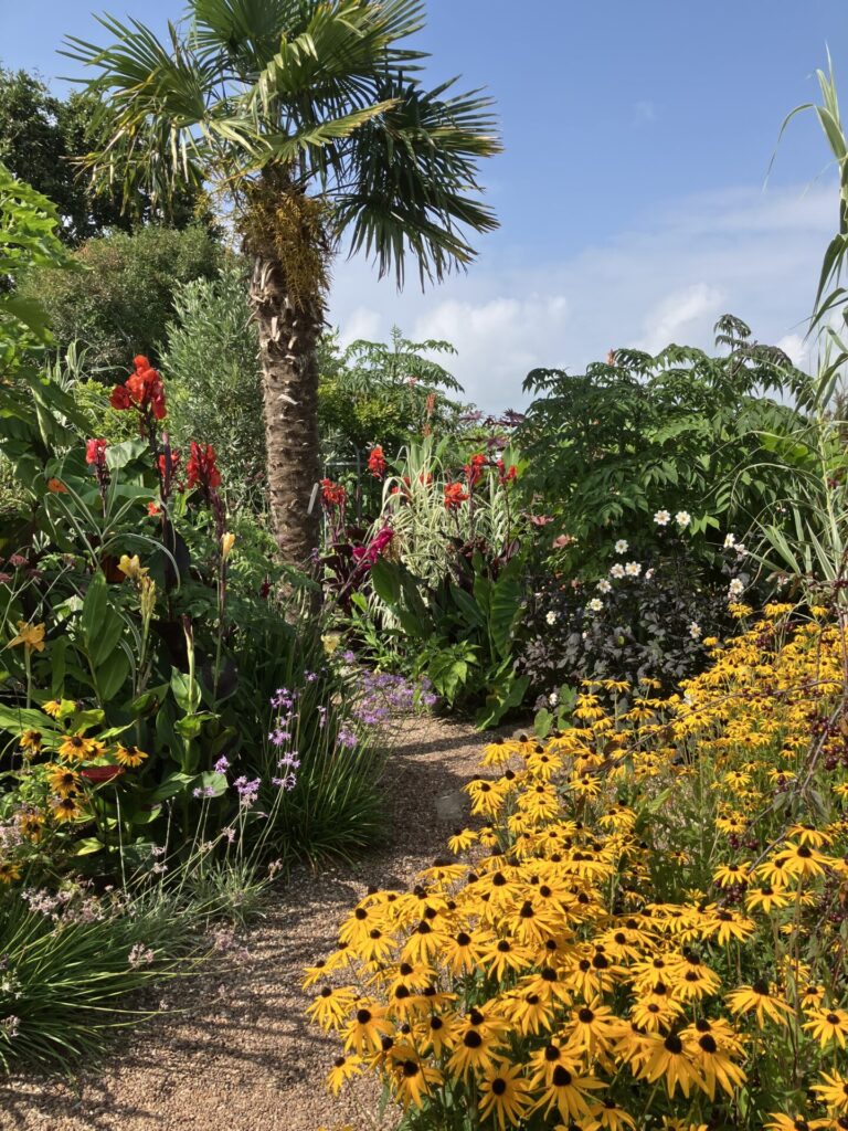 sub tropical garden